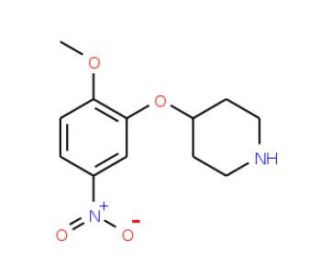 4-(2-Methoxy-5-nitrophenoxy)piperidine - chemical structure image