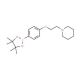4-[2-(Piperidin-1-yl)ethoxy]benzeneboronic acid, pinacol ester (CAS 934586-49-9) - chemical structure image