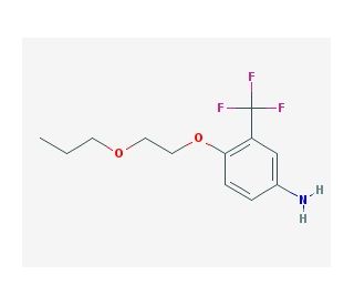 4-(2-Propoxyethoxy)-3-(trifluoromethyl)aniline - chemical structure image