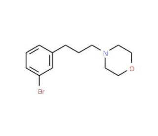 4-(3-(3-Bromophenyl)propyl)morpholine (CAS 1133116-11-6) - chemical structure image