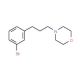 4-(3-(3-Bromophenyl)propyl)morpholine (CAS 1133116-11-6) - chemical structure image