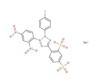 4-[3-(4-Iodophenyl)-2-(2,4-dinitrophenyl)-2H-5-tetrazolio]-1,3-benzenedisulfonate sodium salt - chemical structure image