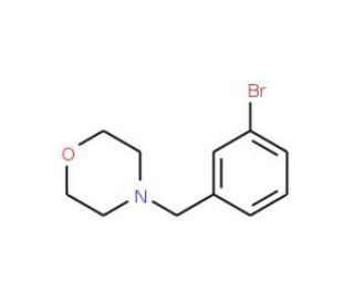 4-(3-Bromobenzyl)morpholine (CAS 364793-82-8) - chemical structure image