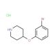 4-(3-Bromophenoxy)piperidine, HCl (CAS 1072944-50-3) - chemical structure image