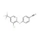 4-{[3-Chloro-5-(trifluoromethyl)-2-pyridinyl]-oxy}benzenecarbonitrile - chemical structure image