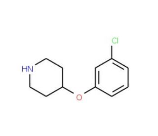 4-(3-Chlorophenoxy)piperidine (CAS 97840-40-9) - chemical structure image