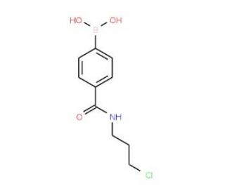 4-(3-Chloropropylcarbamoyl)phenylboronic acid (CAS 874460-03-4) - chemical structure image