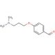 4-[3-(Dimethylamino)propoxy]benzaldehyde (CAS 26934-35-0) - chemical structure image