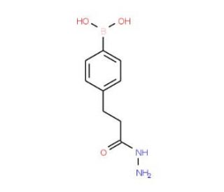 4-(3-Hydrazinyl-3-oxopropyl)phenylboronic acid (CAS 957034-83-2) - chemical structure image