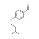 4-(3-Methyl-butoxy)-benzaldehyde (CAS 18986-09-9) - chemical structure image