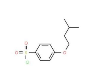 4-(3-methylbutoxy)benzenesulfonyl chloride - chemical structure image
