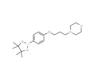 4-(3-Morpholinopropoxy)phenylboronic acid, pinacol ester (CAS 910462-33-8) - chemical structure image