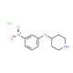 4-(3-Nitrophenoxy)piperidine, HCl (CAS 125043-83-6) - chemical structure image