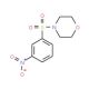 4-(3-Nitrophenylsulfonyl)morpholine (CAS 91619-33-9) - chemical structure image