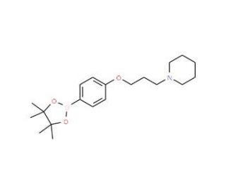 4-(3-(Piperidin-1-yl)propoxy)phenylboronic acid, pinacol ester (CAS 401895-68-9) - chemical structure image