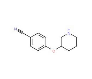 4-(3-Piperidinyloxy)benzonitrile (CAS 902837-34-7) - chemical structure image