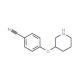 4-(3-Piperidinyloxy)benzonitrile (CAS 902837-34-7) - chemical structure image