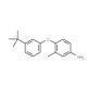 4-[3-(tert-Butyl)phenoxy]-3-methylphenylamine - chemical structure image