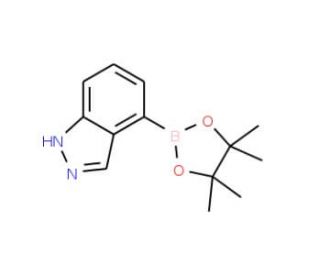 4-(4,4,5,5-Tetramethyl-[1,3,2]dioxaborolan-2-yl)-1H-indazole (CAS 885618-33-7) - chemical structure image