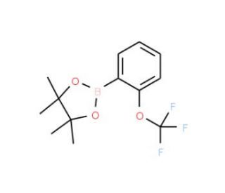 4,4,5,5-Tetramethyl-2-(2-trifluoromethoxyphenyl)-1,3,2-dioxaborolane (CAS 832114-04-2) - chemical structure image