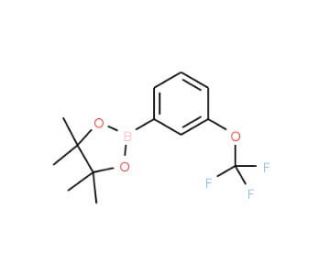4,4,5,5-Tetramethyl-2-(3-trifluoromethoxyphenyl)-1,3,2-dioxaborolane (CAS 262376-31-8) - chemical structure image