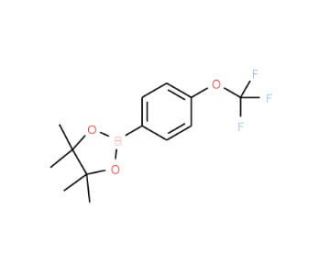 4,4,5,5-Tetramethyl-2-(4-trifluoromethoxyphenyl)-1,3,2-dioxaborolane (CAS 474709-28-9) - chemical structure image