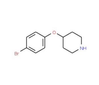 4-(4-Bromophenoxy)piperidine (CAS 74130-05-5) - chemical structure image