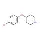 4-(4-Bromophenoxy)piperidine (CAS 74130-05-5) - chemical structure image