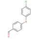 4-(4-Chlorophenoxy)benzaldehyde (CAS 61343-99-5) - chemical structure image