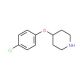 4-(4-Chlorophenoxy)piperidine (CAS 97839-99-1) - chemical structure image