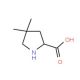 4,4-Dimethyl-L-proline (CAS 891183-50-9) - chemical structure image