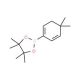 4,4-Dimethylcyclohexa-1,5-dienylboronic acid pinacol ester (CAS 871333-97-0) - chemical structure image