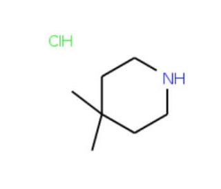 4,4-Dimethylpiperidine HCl (CAS 38646-68-3) - chemical structure image