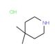 4,4-Dimethylpiperidine HCl (CAS 38646-68-3) - chemical structure image