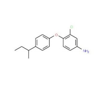 4-[4-(sec-Butyl)phenoxy]-3-chlorophenylamine - chemical structure image