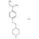 4-{[4-(sec-Butyl)phenoxy]methyl}piperidinehydrochloride - chemical structure image