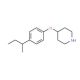 4-[4-(sec-Butyl)phenoxy]piperidine - chemical structure image