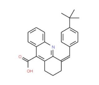 4-(4-tert-Butyl-benzylidene)-1,2,3,4-tetrahydro-acridine-9-carboxylic acid - chemical structure image