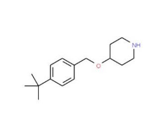 4-{[4-(tert-Butyl)benzyl]oxy}piperidine - chemical structure image