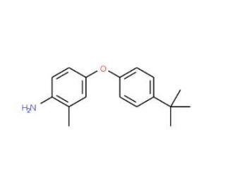 4-[4-(tert-Butyl)phenoxy]-2-methylphenylamine - chemical structure image