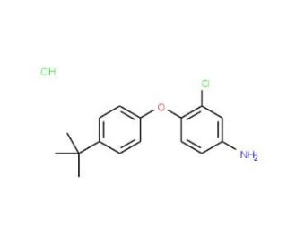 4-[4-(tert-Butyl)phenoxy]-3-chlorophenylamine hydrochloride - chemical structure image
