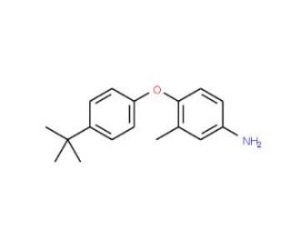 4-[4-(tert-Butyl)phenoxy]-3-methylphenylamine - chemical structure image