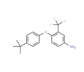 4-[4-(tert-Butyl)phenoxy]-3-(trifluoromethyl)-phenylamine - chemical structure image