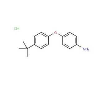 4-[4-(tert-Butyl)phenoxy]aniline hydrochloride - chemical structure image