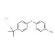 4-[4-(tert-Butyl)phenoxy]aniline hydrochloride - chemical structure image