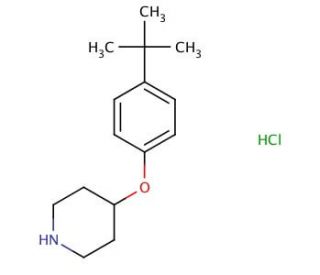4-[4-(tert-Butyl)phenoxy]piperidine hydrochloride - chemical structure image