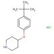 4-[4-(tert-Butyl)phenoxy]piperidine hydrochloride - chemical structure image