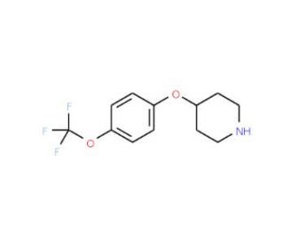4-[4-(Trifluoromethoxy)phenoxy]piperidine (CAS 287952-67-4) - chemical structure image