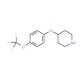 4-[4-(Trifluoromethoxy)phenoxy]piperidine (CAS 287952-67-4) - chemical structure image