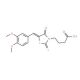 4-[5-(3,4-Dimethoxy-benzylidene)-4-oxo-2-thioxo-thiazolidin-3-yl]-butyric acid (CAS 18623-44-4) - chemical structure image